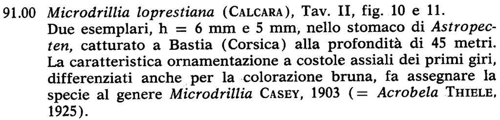 91.00 Microdrillia loprestiana (CALCARA), Tav. II, fig. lo e Il. Due esemplari, h = 6 mm e 5 mm, nello stomaco di Astropecten, catturato a Bastia (Corsica) alla profondità di 45 metri.
