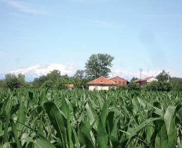 1.1.2 Obiettivi si, attraversando il sistema di piccoli centri abitati del Castanese e la trama di spazi aperti, in gran parte compresi nell ambito di tutela del Parco Sopralluoghi Percorso Rete