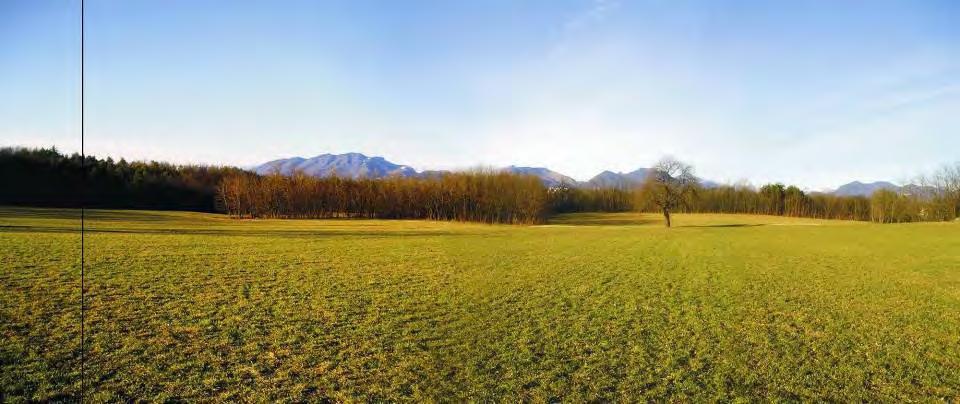 DISCOVERED LANDSCAPE Politecnico Students