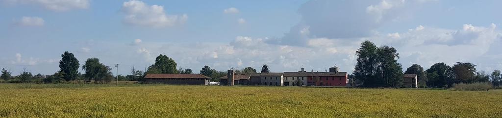 Il nuovo Piano Paesaggistico della Lombardia presupposto generale - riconoscere i paesaggi dell agricoltura/e (dimensione paesaggistica) - predisporre strumenti per la pianificazione e per la