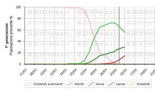 che sono già entrati nello stadio ripartizione %