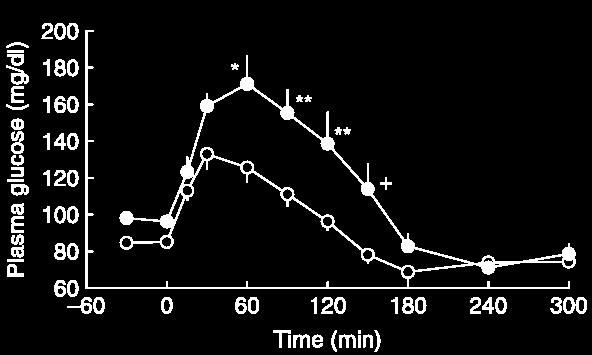 IFG-I increases the recruitment of GLUT4 and GLUT3 glucose transporters on cell surface in hyperthyroidism Premessa: nell ipertiroidismo l alto