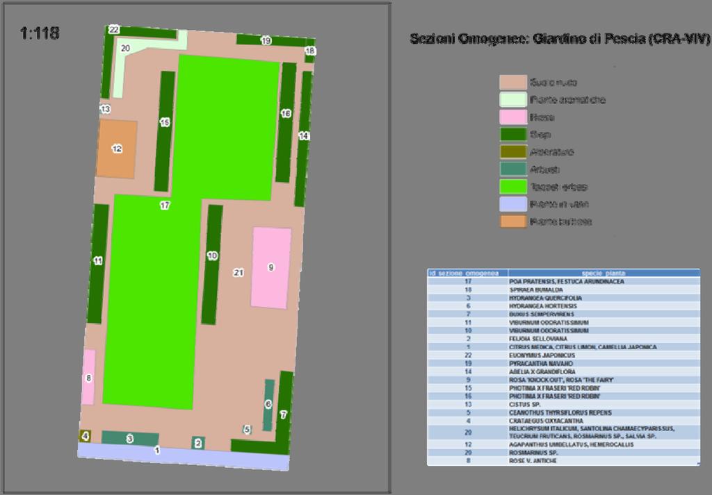 Fig. 5 - Suddivisione in aree omogenee dei giardini sperimentali presso il CRA Viv di Pescia. 5) Definizione della rete di monitoraggio.