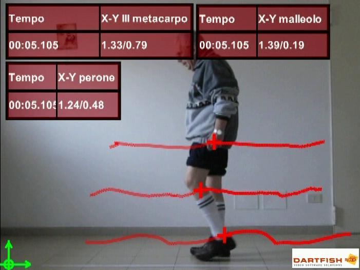 Analisi cinematica qualitativa e Luca