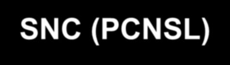 Linfomi cerebrali primitivi del SNC (PCNSL) 1% di tutti i linfomi; 6% di tutti i tumori endocranici; lieve prevalenza sesso maschile; picco di