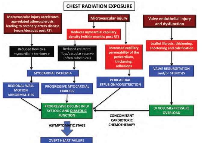 Fig. 4 Manifestazioni fisiopatologiche della cardiopatia da radiazioni