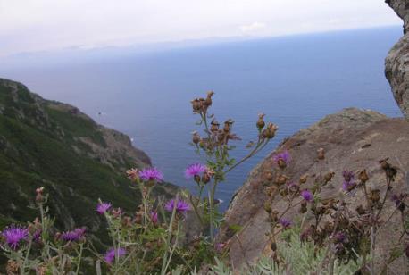 Superficie: 19, 3 Km 2 Distanza dalla costa toscana: 54 km Collegamento marittimo di linea da