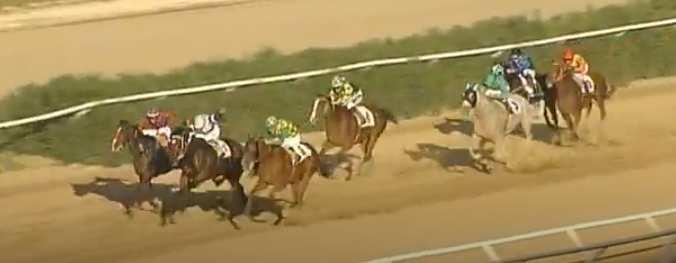 ALEGRO 56-4. JANE'S REQUINTA 52.5 - Dist. (-2.50-1.25-LONT.) Part. 4 T. _4. Siracusa 22.12.18 Basile Sa. 54.5 terr. sabbia st.3 handicap 3> e.5.500 m.1800 p. P.Sabbia RAT.73.0 - VAL.74.0 - TOT.9.