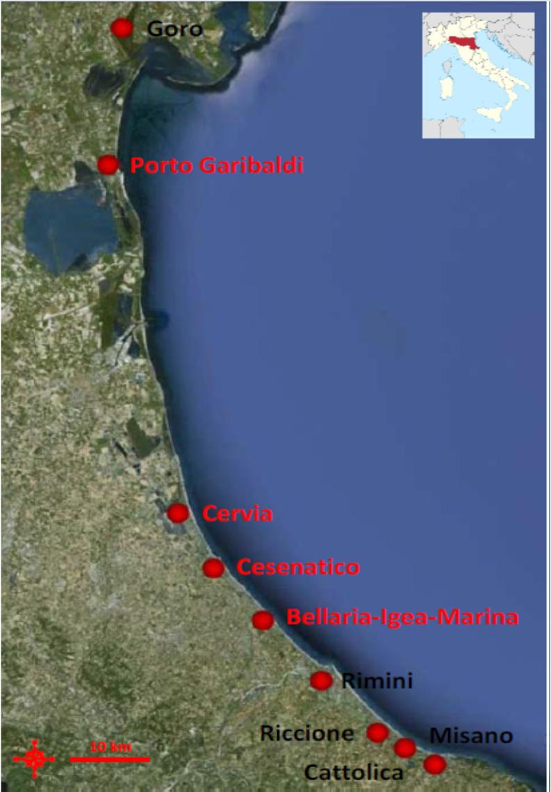 CARATTERISTICHE DEI PICCOLI PORTI DELLA REGIONE EMILIA-ROMAGNA Porti regionali e/o comunali utilizzati prevalentemente per diporto e/o pesca Prevalentemente porti-canale inseriti