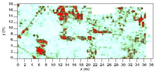 dal monocanale); malgrado l area coinvolta da quest ultima sia in realtà meno estesa dal settore investigato dal GPR monocanale, evidenti sono i targets comuni individuati (figura 4). Fig.