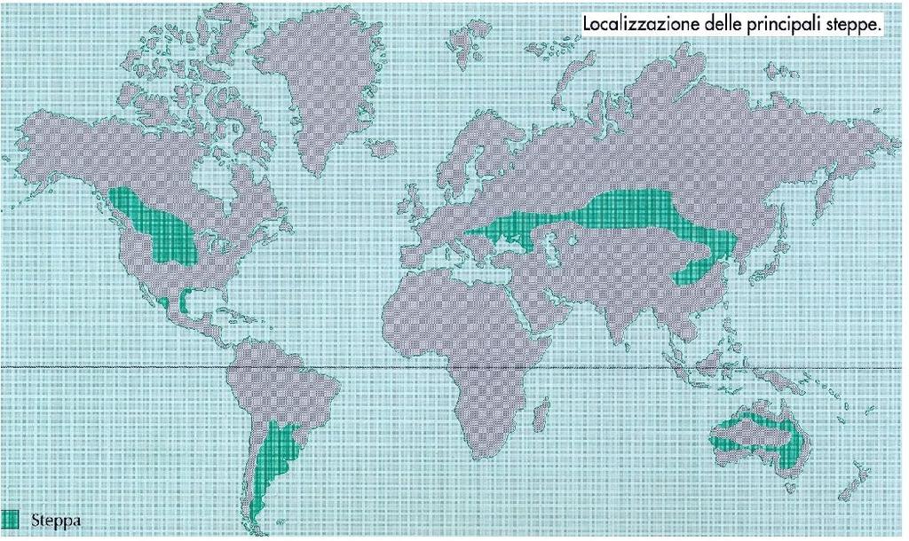 STEPPA Assenza di alberi ed arbusti Siccità in estate