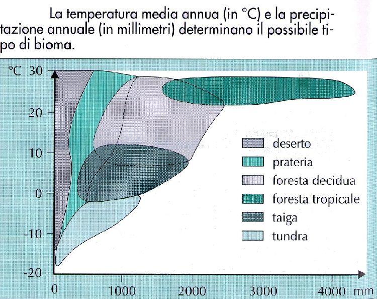 BIOMI Le forme biologiche equivalenti di un bioma mantengono rapporti ecologici