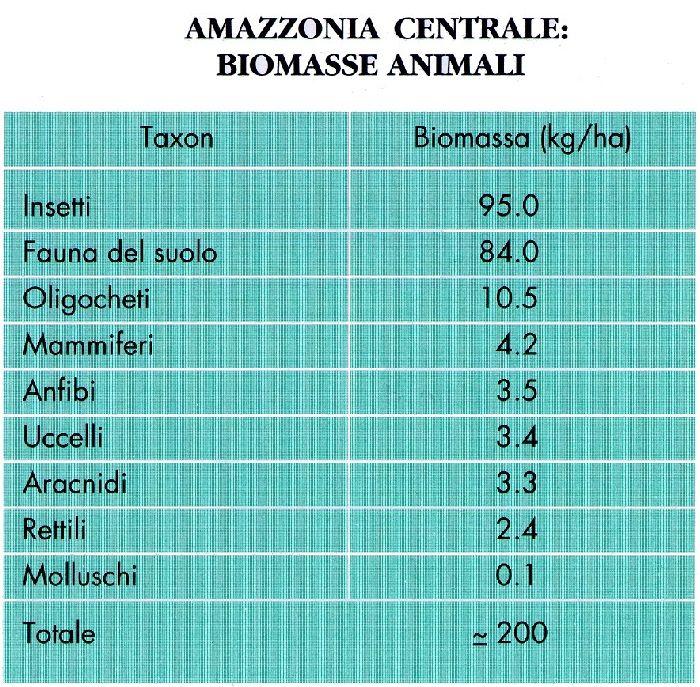 BIOMASSE ANIMALI Netta prevalenza della