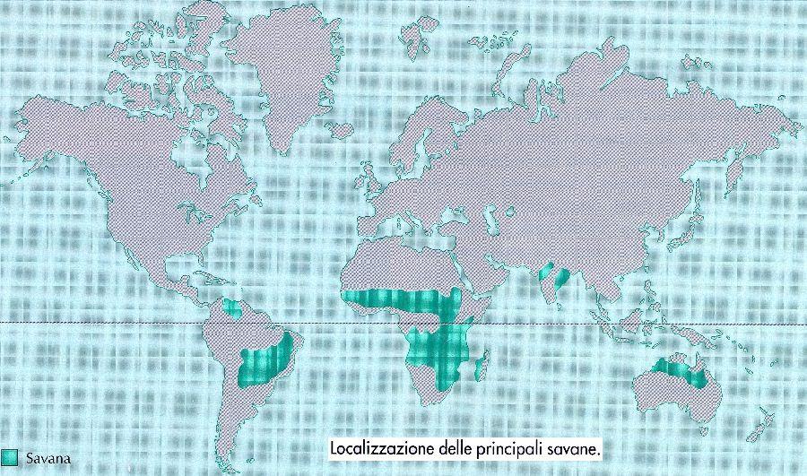 SAVANA Clima sempre molto caldo Lunga stagione secca Piogge concentrate nel corso dell