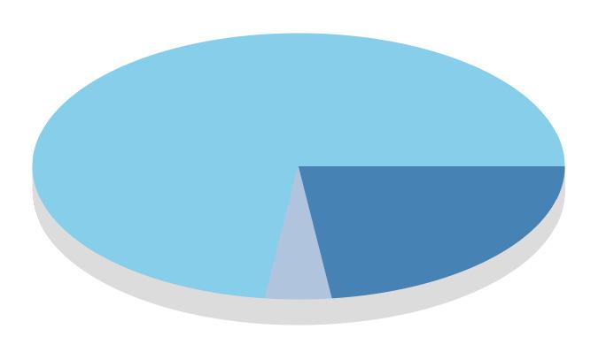 Composizioni tipografiche 1.779 3.960-2.181 Contributi associativi 1.529 0 1.529 Spese pubblicitarie 3.025 80 2.