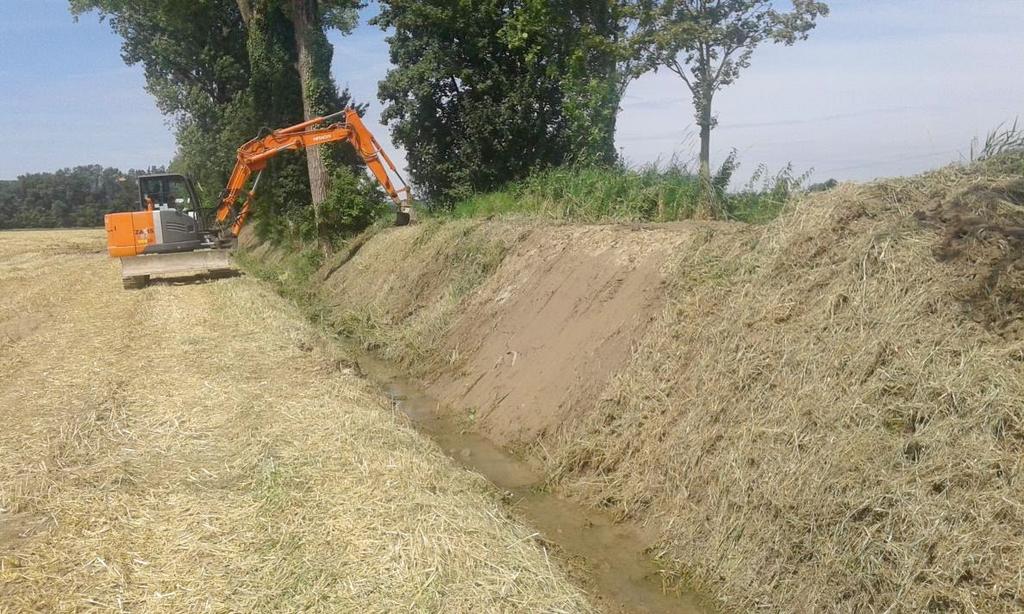 4 5 - CANALETTA LONGARE, ripristino di 3 paratoie in località Strada delle Vegre in comune di Longare, a seguito di sifonamento (FOTO 10, pagina seguente); 6 - ROGGIA CHIORO, arginatura in via