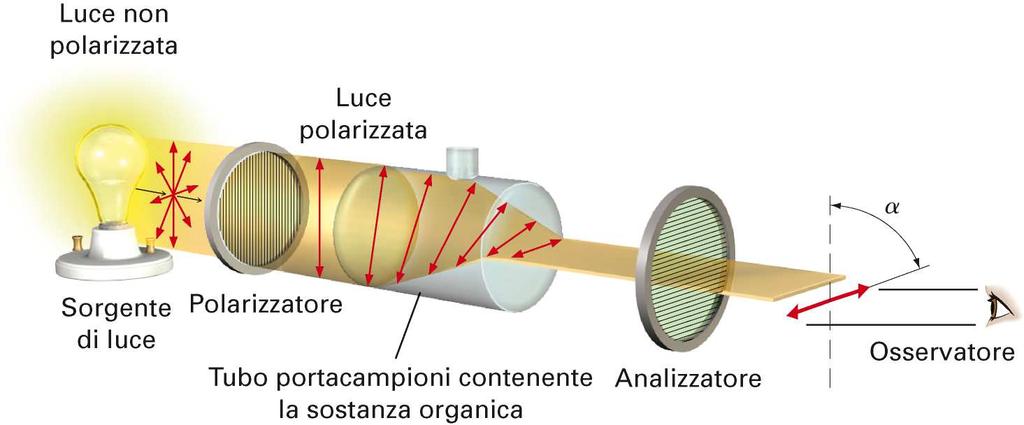 Il polarimetro è uno strumento che misura l entità dell attività ottica di composti chirali Rotazione del piano di polarizzazione chirale La luce piano-polarizzata deriva dal passaggio della luce