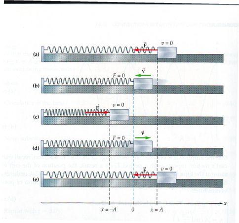 La molla orizzontale x=a K=1/2 mv 2 =0 U el =1/2kx 2 =1/k2A 2 x=0 K=1/2 mv 2 U el =1/2kx 2 =0 x=-a K=1/2 mv 2 =0 U el =1/2kx 2 =1/2kA 2 K x=0