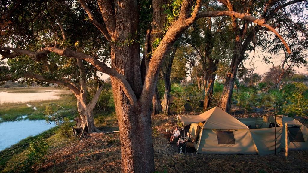 savana di acacia.