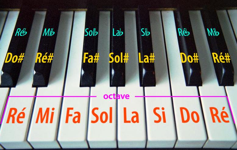 Un pianoforte si compone delle seguenti parti principali: - cassa - cordiera - tastiera - apparato meccanico - pedaliera La cassa che è la parte più visibile dello strumento e che costituisce la