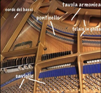 Al suo interno si trova la cordiera che comprende le corde, l armatura metallica (telaio) sulla quale sono tese le corde e la tavola armonica in sottile legno di abete che serve a rinforzare la