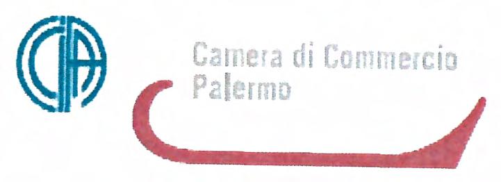 Com1.1ercio ( Palermo J Segreteria Generale Relazione sui