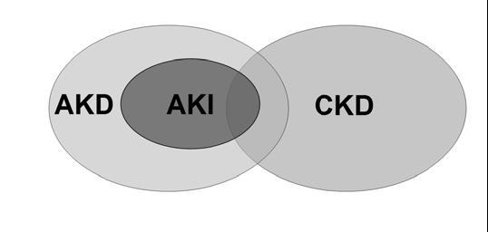 In primo luogo, AKI è un sottoinsieme di AKD.