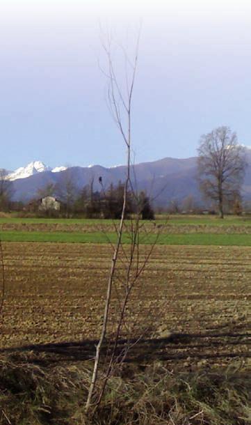 Introduzione 7 La produzione agricola è sempre stata alla base dello sviluppo e della crescita della società umana. La popolazione mondiale sta aumentando.