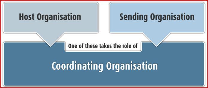 Organizzazione ospitante Organizzazione/i di invio Chi ospita prende il ruolo di Organizzazione di