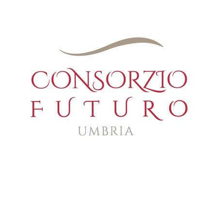 Finanziato dal P.O.R. Programma Operativo Regionale FSE (Fondo Sociale Europeo) Umbria 2014-2020 OB.