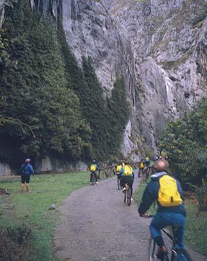 Caratteristiche delle greenways Sicurezza: percorsi fisicamente separati dalla rete stradale ordinaria Accessibilità per tutti gli utenti (con diverse caratteristiche e abilità) Circolazione dolce :