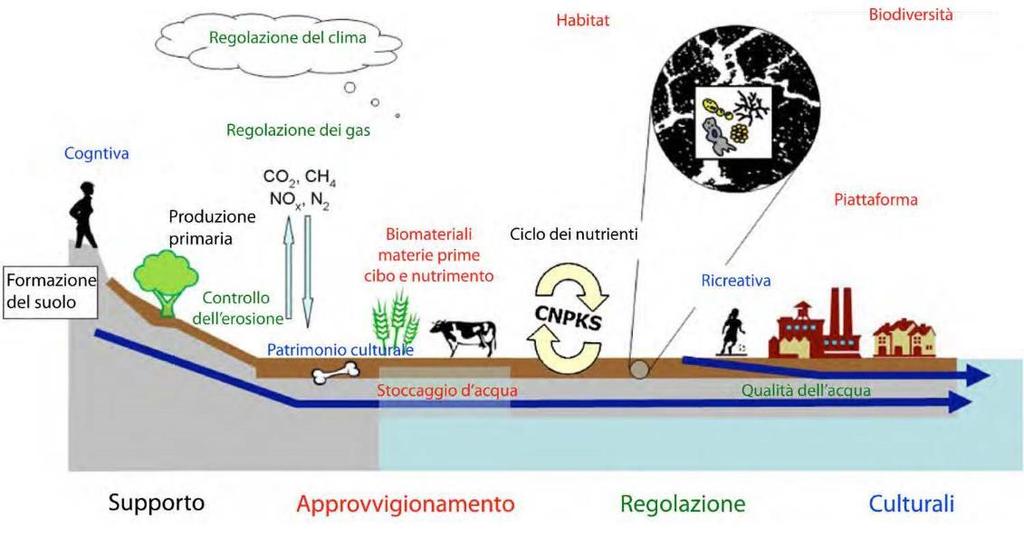 Funzioni Ecosistemiche e Servizi Ecosistemici Il Millennium Ecosystem Assessment (2005) ha definito i servizi ecosistemici (ecosystem services) come quei benefici multipli forniti dagli ecosistemi al