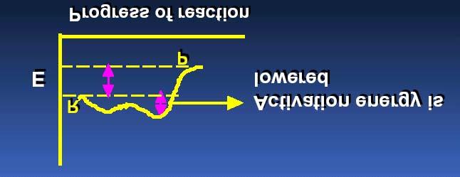 Nella reazione catalizzata da un enzima prima si forma il complesso con il substrato e poi quest ultimo viene trasformato (lo stesso