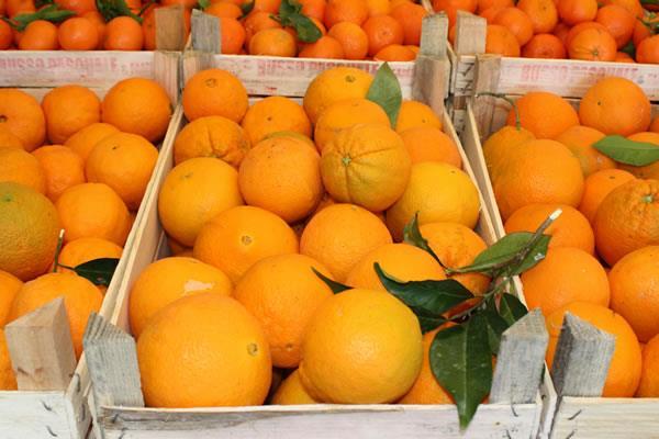 Il sottoprodotto dell industria agrumaria: IL PASTAZZO Lo sapevate che da un arancia si estrae