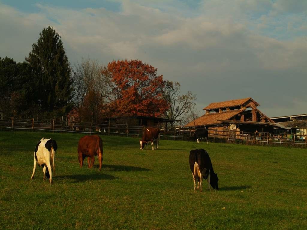 Il territorio del Parco del Ticino è occupato per il 56 % aree