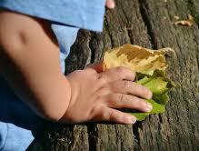 SENSI: IN AZIONE! Percorso riservato ai più piccoli, che scopriranno il giardino di Villa Parravicini attraverso esperienze sensoriali.