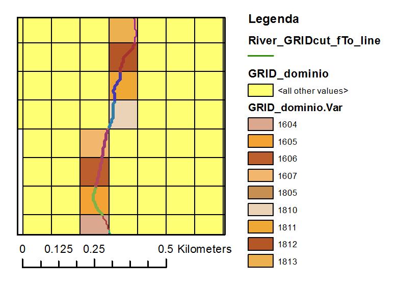 Impostazione del modello in FLO-2D Importazione del DTM alleggerito Definizione della grid 100