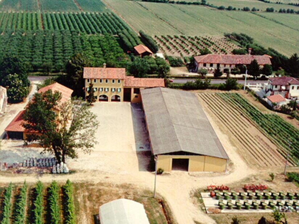 post-trattamento e di essicamento del digestato (azienda 1) - Azienda pilota e dimostrativa Diana di Veneto Agricoltura,