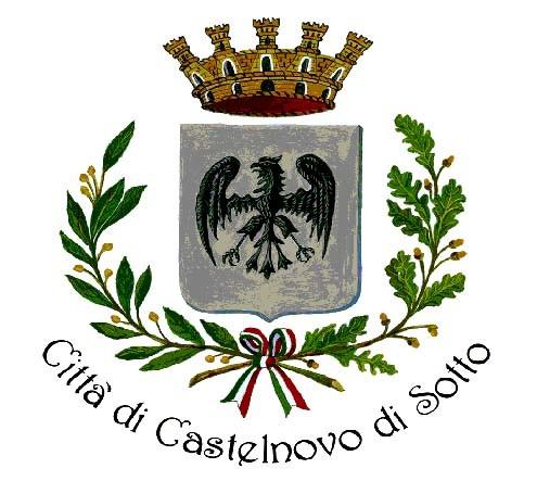 Comune di Castelnovo di Sotto Provincia di Reggio Emilia DELIBERAZIONE DEL CONSIGLIO COMUNALE N.