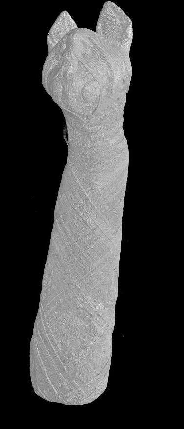 La Tomografia di oggetti di medie dimensioni Mummia di gatto EG 2039 Mummia di gatto avvolta in tele di lino cm.