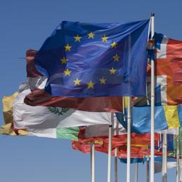 Francia, Spagna, Grecia, Irlanda, Portogallo e Finlandia firmano un documento comune contro i tagli al bilancio Dalle principali organizzazioni professionali dell'agricoltura a livello europeo, è
