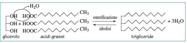 I gliceridi I gliceridi sono prodotti di esterificazione del glicerolo con acidi grassi.