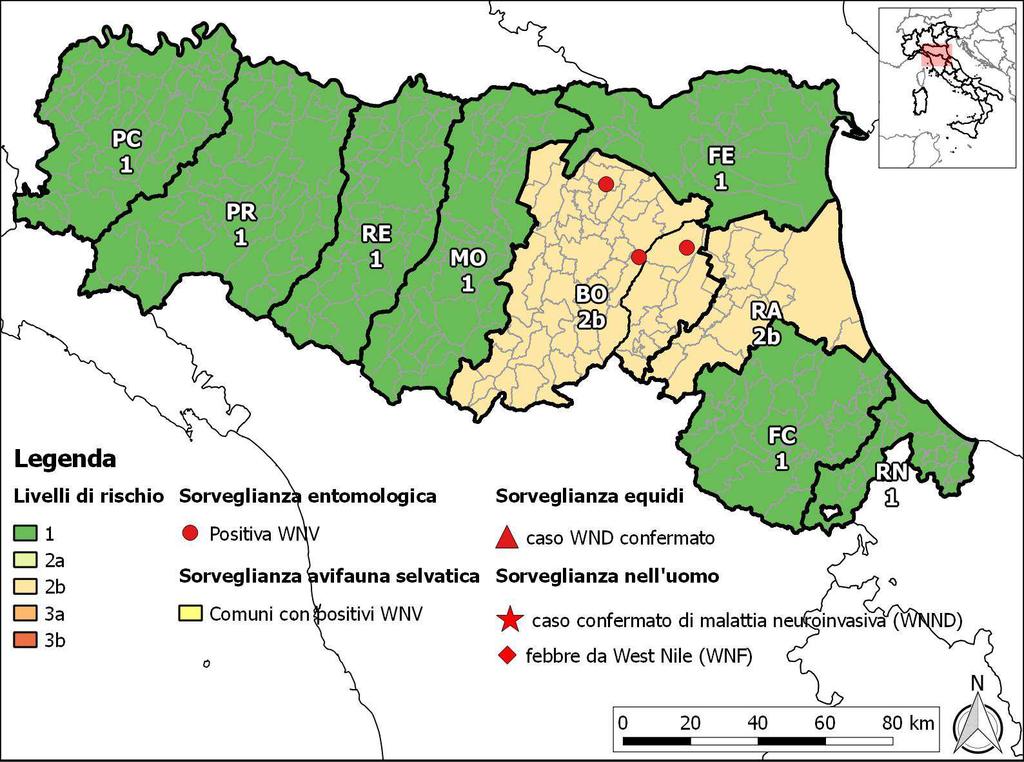 1. Situazione Epidemiologica West Nile virus in Emilia-Romagna Le attività di sorveglianza sull avifauna selvatica ed entomologica sono cominciate rispettivamente nel mese di maggio e giugno.