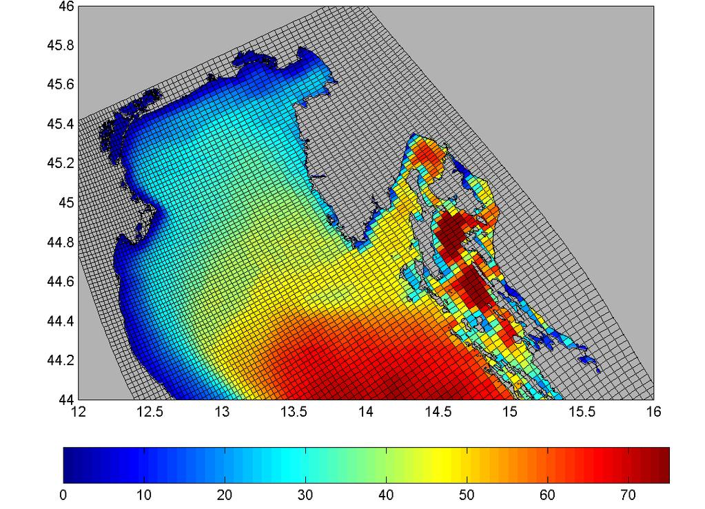 L Adriatico ed i cambiamenti climatici GLOBAL SINTEX-G LIMITED AREA atmosphere: ECHAM 4 ;19 levels ; 1.12 x1.12 res. ocean: OPA ; 1 x1 res.