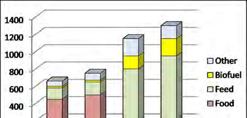 LE MICOTOSSINE I cereali: alcuni numeri Produzione mondiale stimata 2015