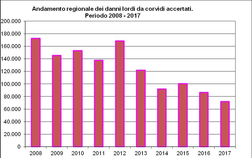 Rappresentazione grafica dei danni da