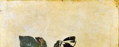 III^ DOMENICA DI QUARESIMA PROFUMIAMO DI BONTÀ Approfondimenti RAGAZZI 11-14 anni La parola all ARTE: il senso dell OLFATTO Caravaggio, Canestra di frutta, 1599, Pinacoteca Ambrosiana, Milano Non