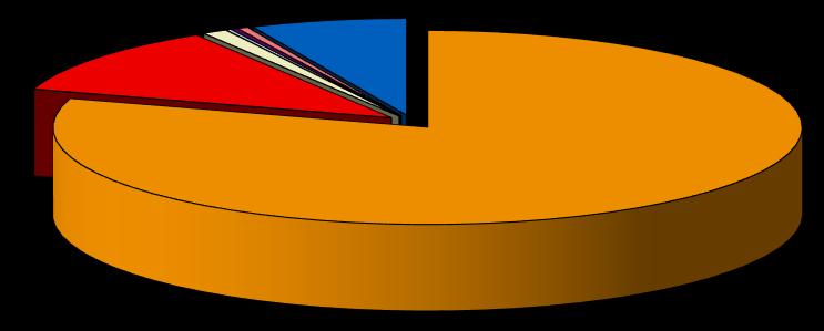 DETTAGLIO USCITE 2017 0,21% 0,45% 1,06% 11,46% 0,29% 6,73% Progetto Perù Personale retribuito Rimborsi spese Assicurazione 79,80%