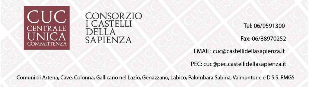 80 Oggetto: procedura aperta per l affidamento del servizio di gestione asilo nido comunale Gian Burrasca anni educativi 08/0 del Comune di Colonna CIG 7508609D Verbale n.