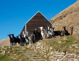 La struttura a disposizione dei campisti è un Rifugio non gestito dell Ente Parco e dispone di una camerata letti a castello un grande soggiorno/cucina con camino.